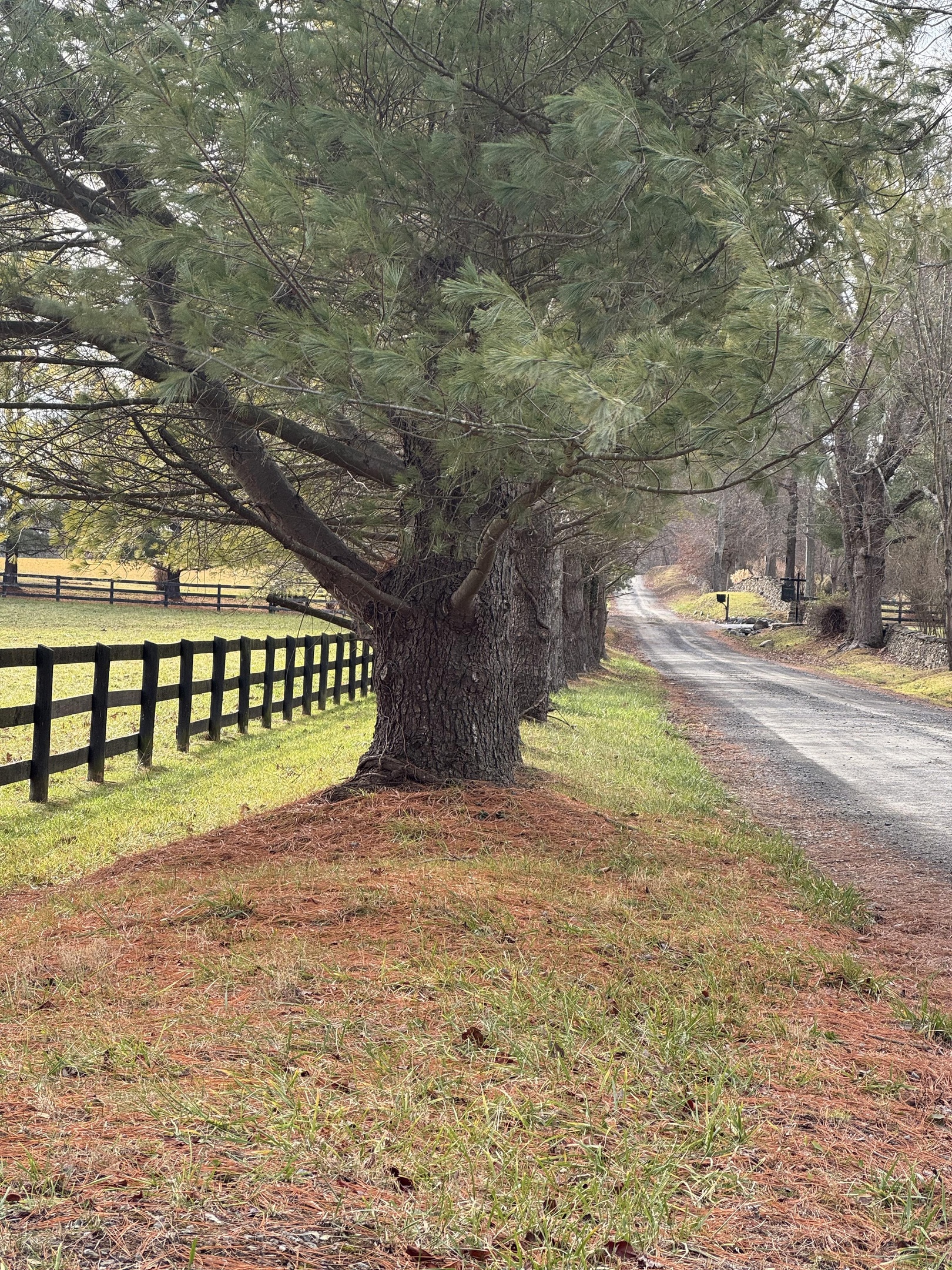 Leesburg realtor commute 